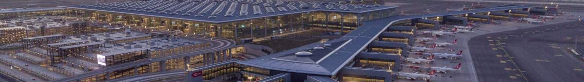 Istanbul - Havalimani: leje af privatfly