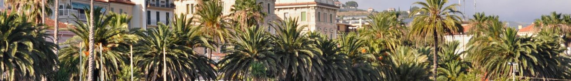 Sanremo: Udlejning af privatfly