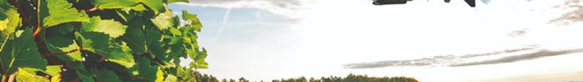 Vinmarkerne i Bourgogne: Helikopteroplevelse