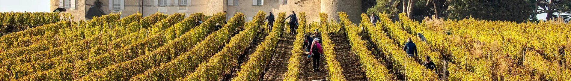 Bordeaux' vinmarker: oplevelse i helikopter
