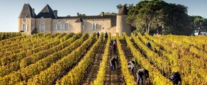 Bordeaux' vinmarker: oplevelse i helikopter