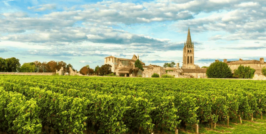 Bordeaux' vinmarker: oplevelse i helikopter