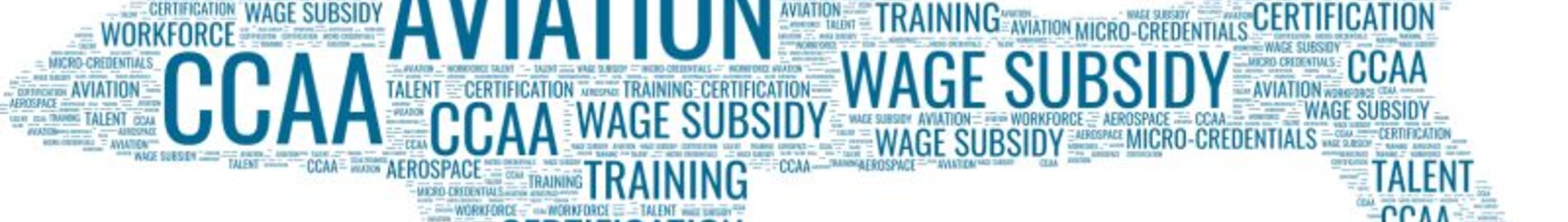 Komplet ordliste for forretningsflyvning : AEROAFFAIRES