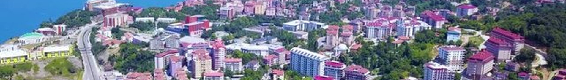 Zonguldak: udlejning af privatfly
